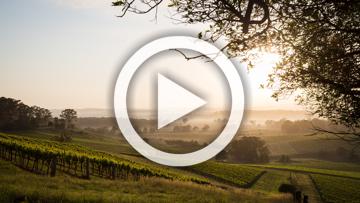 2026 Ford Ranger XLT Auto 4x4 MY26.00 Double Cab